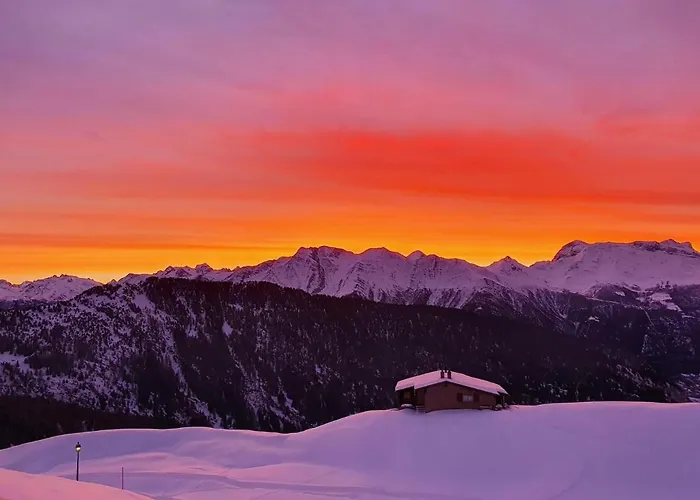 Silberdistel Белальп