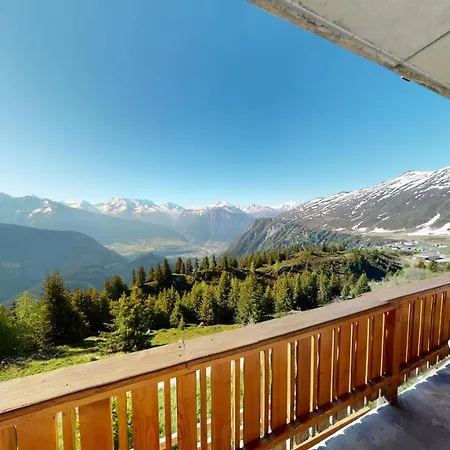 Silberdistel * 贝拉尔普